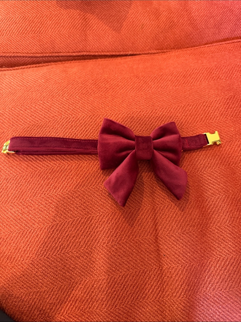 Burgundy Velvet Bow Dog collar